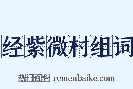 经紫微村组词是什么意思的图片